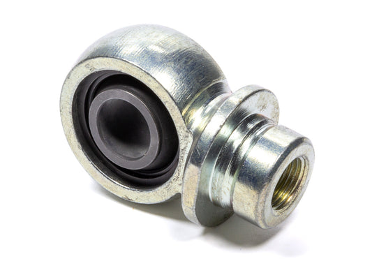 Eye Ring Assembly 