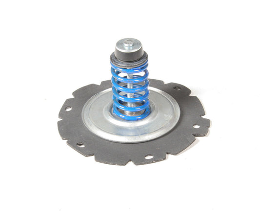 Fuel Pump Diaphragm  Kit 