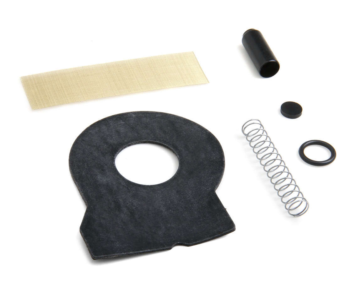 Check Valve Kit 