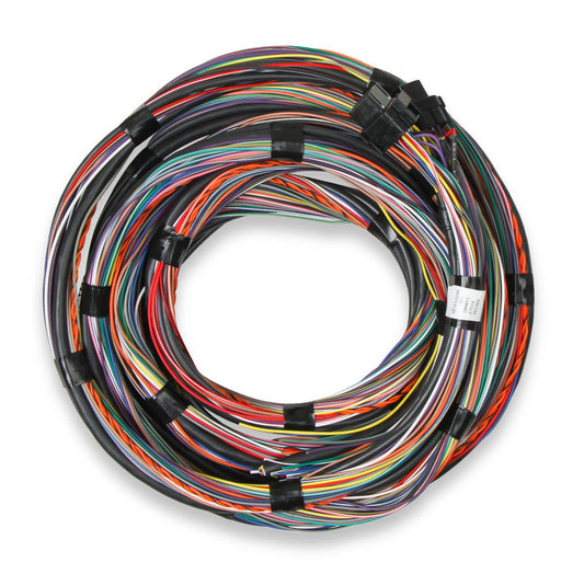 Flying Lead Main Harness 