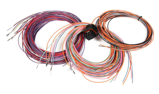 J3 Connector & Harness 